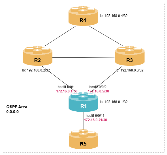 ospf single area lab